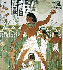 The Tomb of Nakht-(TT52), for Nakht.(His name is shown as "Nakht", 'Mighty-(One)'(?).)