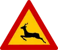 K-19Wild animals