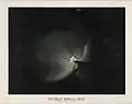Orion nebula, 1875