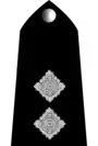Uk-police-03
