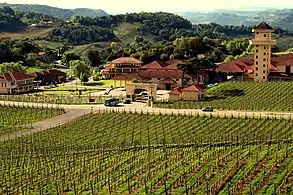 Image 63Vineyards valley in Rio Grande do Sul (from Tourism in Brazil)