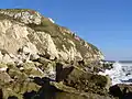 The headland from the shore below the undercliff