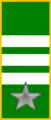 Coastal Artillery